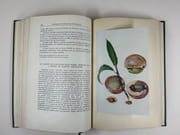 (HORTICULTURE - POMOLOGIE) Oeuvres choisies. Préface de P. Iakovlev par  Ivan Vladimirovitch MITCHOURINE - Image 10
