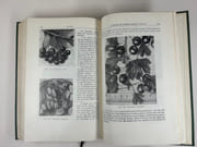 (HORTICULTURE - POMOLOGIE) Oeuvres choisies. Préface de P. Iakovlev par  Ivan Vladimirovitch MITCHOURINE - Image 13
