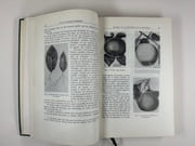 (HORTICULTURE - POMOLOGIE) Oeuvres choisies. Préface de P. Iakovlev par  Ivan Vladimirovitch MITCHOURINE - Image 9