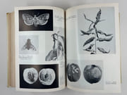 (HORTICULTURE - POMOLOGIE) La défense des plantes cultivées. 3e édiiton revue et augmentée. Préface de R. Gallay. 430 figures.  par Henry Faes, Marc Staehelin, Paul Bovey  - Image 4