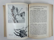 (HORTICULTURE - POMOLOGIE) La défense des plantes cultivées. 3e édiiton revue et augmentée. Préface de R. Gallay. 430 figures.  par Henry Faes, Marc Staehelin, Paul Bovey  - Image 5