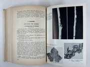 (HORTICULTURE - POMOLOGIE) La défense des plantes cultivées. 3e édiiton revue et augmentée. Préface de R. Gallay. 430 figures.  par Henry Faes, Marc Staehelin, Paul Bovey  - Image 6