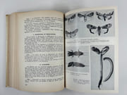 (HORTICULTURE - POMOLOGIE) La défense des plantes cultivées. 3e édiiton revue et augmentée. Préface de R. Gallay. 430 figures.  par Henry Faes, Marc Staehelin, Paul Bovey  - Image 7
