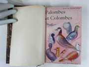 (Ornithologie) Palombes et Colombes. 2e édition. par Jean DE BOSSCHERE - Image 5