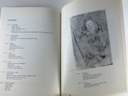 J.-E. Blanche  1861-1942. "Jacques-Emile, Auguste, Eva, Henri, Fritz, Walter et les autres..." dans les collections du Château du Musée de Dieppe. 12 décembre 1992 - 30 avril 1993.  par Catalogue d'expostion. Jacques-Emile BLANCHE. Préface Pierre Bazin. - Image 5