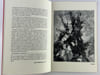 Buchholz, Oeuvres r&eacute;centes. Catalogue d'expostion du 9 juin au 11 juillet 1964. Jacques BUCHHOLZ. Texte de Jean-Dominique Rey. 