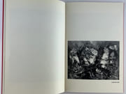 Buchholz, Oeuvres récentes. Catalogue d'expostion du 9 juin au 11 juillet 1964 par Jacques BUCHHOLZ. Texte de Jean-Dominique Rey.  - Image 4
