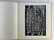 BISSIERE Catalogue d'exposition.  Mai Juin 1962.  par Roger BISSIERE. Texte de Dora Vallier. - Image 3