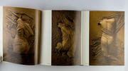 Olivier Brice "les gisants". Catalogue d'expostion, Galerie Attali, avril 1976. Joint le carton d'invitation imprimé sur rodhoïd. par Olivier BRICE. Texte de Pierre Retany.  - Image 3