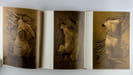 Olivier Brice "les gisants". Catalogue d'expostion, Galerie Attali, avril 1976. Joint le carton d'invitation imprim&eacute; sur rodho&iuml;d.. Olivier BRICE. ...