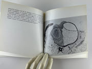 Gala Barbisan chez Pierre Domec. Galerie Pierre Domec 21 novembre 1967 par Textes de Colette Audry, Camille Bourniquel, Pierre Gascar, Jean Guichard-Meili, Jérôme Lindon, Robert Marteau, Claude mauriac, Raymond Queneau, Alain Robbe-Grillet.  - Image 2