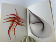 Laurence de Bourbon Busset  - Catalogue d'exposition du 13 juin au 13 juillet 1991 Mouvement et Structure (graphismes par synergie pendulaire). par Laurence De Bourbon Busset. Préface de Jean Guitton.  - Image 6