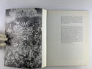 Jacques Brissot Peintures. Octobre - Novembre 1973. Jacques Brissot. Texte Jean-Jacques Soleil.