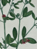FAGABELLE COMMUNE  Planche n&deg;141  Plantes de la France, d&eacute;crites et peintes d'apr&egrave;s nature (BOTANIQUE) GRAVURE ORIGINALE  . Jean-Henri JAUME ...