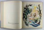 La plus belle histoire. La Bible racont&eacute;e aux enfants.. Texte d'Albert FINET. Illustrations de Fran&ccedil;oise Jacques Bertier
