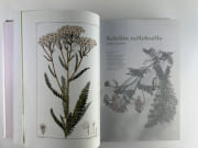 (Gastronomie)  L'Encyclopédie culinaire du XXIe siècle. Coffret de 3 volumes : Mes débuts - Mes créations - L'Herbier sauvage par Marc VEYRAT - Image 11