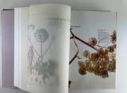 (Gastronomie)  L'Encyclopédie culinaire du XXIe siècle. Coffret de 3 volumes : Mes débuts - Mes créations - L'Herbier sauvage par Marc VEYRAT - Image 12