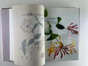 (Gastronomie)  L'Encyclopédie culinaire du XXIe siècle. Coffret de 3 volumes : Mes débuts - Mes créations - L'Herbier sauvage par Marc VEYRAT - Image 13