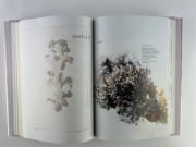 (Gastronomie)  L'Encyclopédie culinaire du XXIe siècle. Coffret de 3 volumes : Mes débuts - Mes créations - L'Herbier sauvage par Marc VEYRAT - Image 14