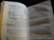 L'éleveur de bêtes à cornes par Félix Villeroy, cultivateur à Rittershof. - Image 2