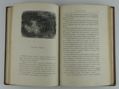 Contes célèbres de la littérature anglaise. Madame Alfred Gatty. Mlle Marie S.W. Madame Marie Howitt