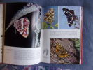 Encyclopédie des papillons. Dr Stanek