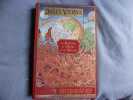 Les aventures de 3 russes et 3 anglais. Jules Verne