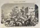 Gravure sur bois debarquement elephants a calcutta pour transports armee anglaise dans les indes. 