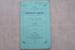 Rapport sur l'emploi de la houille dans les machines locomotives et sur les machines à foyer fumivore du système Tenbrinck.. COUCHE M.