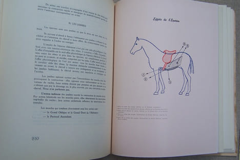 Mécanique équestre. Préfacé par Le Général DECARPENTRY.. ANDRE Docteur-Vétérinaire