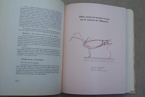 Mécanique équestre. Préfacé par Le Général DECARPENTRY.. ANDRE Docteur-Vétérinaire