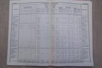 Statistique des Chemins de Fer Suisses pour l'Année 1878.