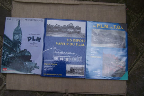 COMPAGNIE DES CHEMINS DE FER DE PARIS A LYON ET A LA MEDITERRANEE (P.L.M.): Marcel CHAVY: Les depots vapeur du P.L.M. Régions Sud-Est et Méditerranée ...