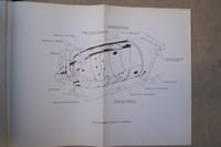 TURBO-REACTEUR: Notice descriptive et de fonctionnement du GROUPE TURBO-REACTEUR "MARBORE II" Variantes A, B, F, G (Partie texte, Turbomeca, 1959) et A, B et C (Partie planches, 1957).
Turbo-Réacteur ROLLS ROYCE AVON RA 29 - MK 522 Notice d'entretien, avion SE 210 Caravelle, Air France, 1958.
Notice descriptive et de fonctionnement TURBO-REACTEUR ATAR 101 E3 - E4, Texte et planches, Octobre 1956.
