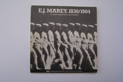 Le vol des oiseaux.. MAREY E.-J.