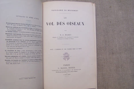 Le vol des oiseaux.. MAREY E.-J.