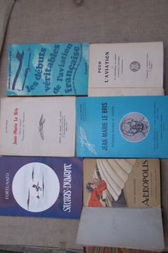 AVIATION DEBUTS PIONNIERS PRECURSEURS BIOGRAPHIES: L'Aviation triomphante, Delagrave 1909. POUR L'AVIATION par MM. D'estournelles de Constant, P. ...
