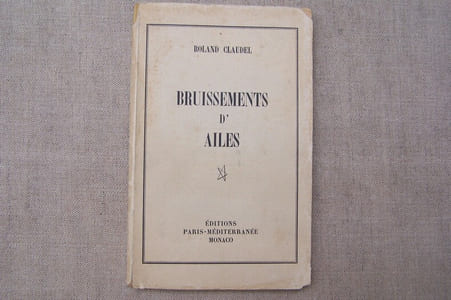 Bruissements d'ailes.Petite introduction à la poésie réelle à l'usage des jeunes fervents du vol à voile.