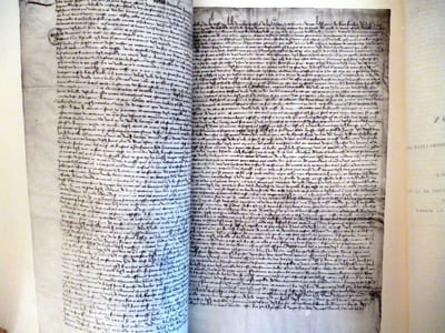 LA JURIDICTION CONSULAIRE A LYON. La conservation des Privilèges royaux des foires. 1463-1791. Le tribunal de commerce. 1791-1905