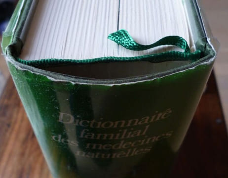 Dictionnaire familial des médecines naturelles.. Maury E.A - Rudder Chantal De