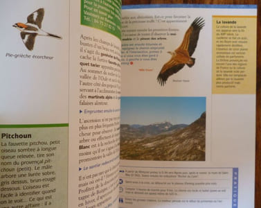 Balades en nature en Rhône-Alpes - Diois - Baronnies - Vivarais. Avec un guide d'observation des animaux.