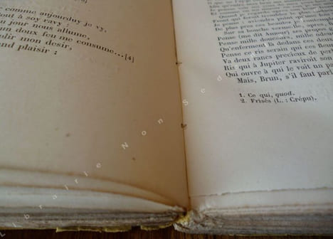 Poésies choisies de J.-A. De Baïf suivies de Poésies Inédites Publiées avec une notice sur la vie et les oeuvres de Baïf, des appendices ...