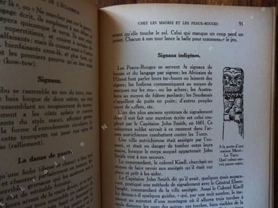 Les 1001 Activités de l'éclaireur