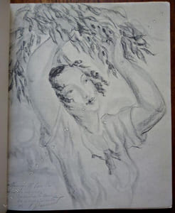 Eloge de l'Olivier .