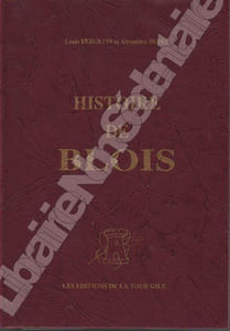 Histoire de Blois I