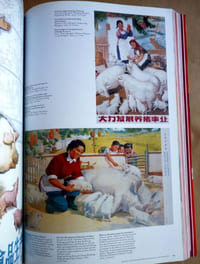 Chinese Propaganda Posters