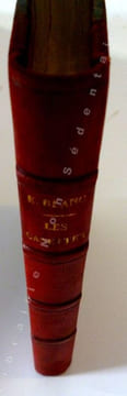 LES CANETTES De Jirome Roquet ( dit Tampias ) Ouvrier Taffetaquié Pouême etique, chanson, pouêsies divêrses, pieces de prose tramé de ver et autres. ...