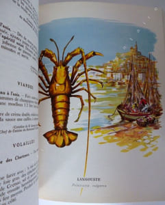 Petite étude sur l'anis Dans l'HistoireLa ThérapeutiqueLa Gastronomie