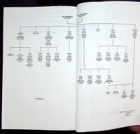 Les dynasties Lyonnaises - Des Morin-Pons aux Mérieux du XIXè siècle à nos jours.