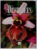 Les orchid&eacute;es sauvages de France Grandeur Nature. Souche R&eacute;my 